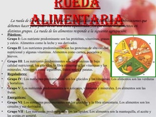 Rueda alimentaria La rueda de los alimentos es un indicativo de las distintas cantidades y combinaciones que debemos hacer para poder llevar una dieta equilibrada. Así que divide los alimentos en distintos grupos. La rueda de los alimentos responde a la siguiente agrupación: Plásticos:  Grupo I:  Los nutriente predominante son las proteínas, vitaminas, grasas y calcio. Alimentos como la leche y sus derivados.  Grupo II : Los nutrientes predominantes son las proteínas de alta calidad nutricional y algunas vitaminas. Alimentos como carnes, pescados y huevos.  Grupo III : Los nutrientes predominantes son las proteínas de baja calidad nutricional, los glúcidos, la fibra alimentaria, las vitaminas y los minerales. Alimentos como legumbres, frutos secos y patatas. Reguladores: Grupo IV : Los nutrientes predominantes son los glúcidos y las vitaminas. Los alimentos son las verduras y hortalizas.  Grupo V : Los nutrientes predominantes son azúcares, vitaminas y minerales. Los alimentos son las frutas.  Energéticos: Grupo VI : Los nutrientes predominantes son los glúcidos y la fibra alimentaria. Los alimentos son los cereales y sus derivados.  Grupo VII  : Los nutrientes predominantes son los lípidos. Los alimentos son la mantequilla, el aceite y las grasas en general. 