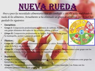 Nueva rueda Poco a poco las necesidades alimentarias han ido cambiado y con ello se ha modificado la rueda de los alimentos. Actualmente se ha eliminado un grupo de alimentos, por lo cual han quedado los siguientes:  Energéticos: Grupo I : Composición predominante en hidratos de carbono. Pertenecen a este grupo alimentos derivados de los cereales, patatas y azúcar.  Grupo II : Composición predominante en lípidos. Pertenecen a este grupo la mantequilla, aceites y grasas en general. Plásticos:  Grupo III : Composición predominante en proteínas y calcio. Pertenecen al grupo la leche y sus derivados.  Grupo IV : Composición predominante en proteínas. Los alimentos pertenecientes a este grupo son los productos cárnicos, los huevos y pescados, las legumbres y los frutos secos. Reguladores Grupo V:  Composición predominante en vitaminas y elementos minerales. Pertenecen a este grupo las hortalizas y las verduras.  Grupo VI : Composición predominante en vitaminas y elementos minerales. Las frutas son los alimentos pertenecientes a este grupo. 