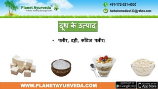 • पनीर, दही, कॉटेज पनीर।
WWW.PLANETAYURVEDA.COM
दूध के उत्पाद
herbalremedies123@yahoo.com
+91-172-521-4030
 