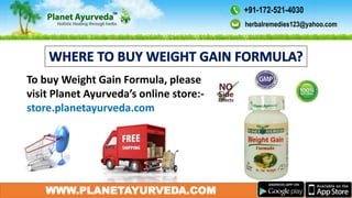 herbalremedies123@yahoo.com
+91-172-521-4030
WWW.PLANETAYURVEDA.COMWWW.PLANETAYURVEDA.COM
herbalremedies123@yahoo.com
+91-172-521-4030
WWW.PLANETAYURVEDA.COM
To buy Weight Gain Formula, please
visit Planet Ayurveda’s online store:-
store.planetayurveda.com
herbalremedies123@yahoo.com
+91-172-521-4030
 