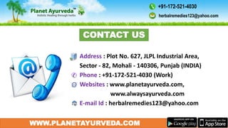 WWW.PLANETAYURVEDA.COM
Address : Plot No. 627, JLPL Industrial Area,
Sector - 82, Mohali - 140306, Punjab (INDIA)
Phone : +91-172-521-4030 (Work)
Websites : www.planetayurveda.com,
www.alwaysayurveda.com
E-mail Id : herbalremedies123@yahoo.com
CONTACT US
herbalremedies123@yahoo.com
+91-172-521-4030
 