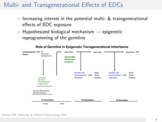 Multi- and Transgenerational Eﬀects of EDCs
◦ Increasing interest in the potential multi- & transgenerational
eﬀects of EDC exposure
◦ Hypothesized biological mechanism → epigenetic
reprogramming of the germline
Skinner MK, Molecular & Cellular Endocrinology 2014
9
 