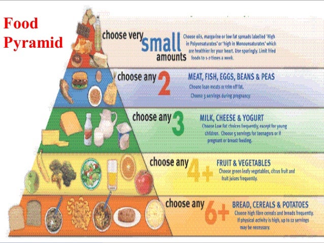 nutrition plan for weight loss