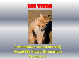 Die Tiere Presentation von Okrasinskij Alexej 8W Klasse Gymnasium  Nummer 1. 