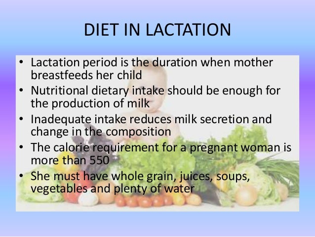 lactation diet