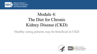 Module 4:
The Diet for Chronic
Kidney Disease (CKD)
Healthy eating patterns may be beneficial in CKD
 