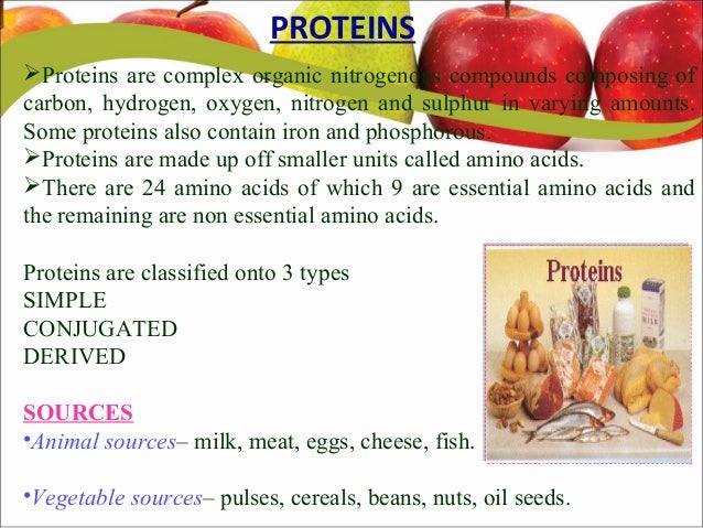 3 Functions Of Protein In The Diet