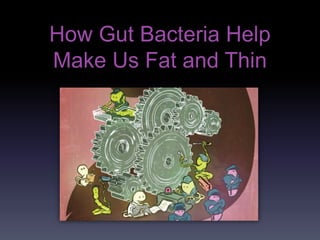 How Gut Bacteria Help
Make Us Fat and Thin
 