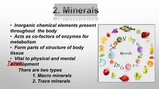 Trace minerals
Major functions:
 