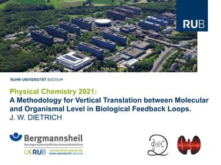 Physical Chemistry 2021:
A Methodology for Vertical Translation between Molecular
and Organismal Level in Biological Feedback Loops.
J. W. DIETRICH
 