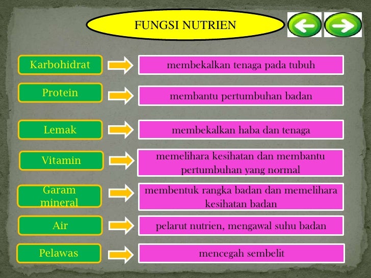 Diet Seimbang