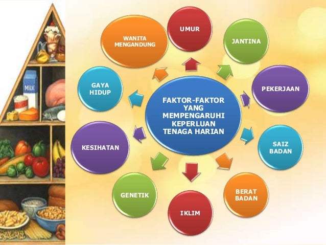 6 2 Diet Seimbang Nutrisi