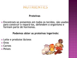 Proteínas


Encontram-se presentes em todos os tecidos, são usadas
para construir e repará-los, defendem o organismo e
formam parte de hormonas.
Podemos obter as proteínas ingerindo:

Leite e produtos lácteos
 Ovos
 Carnes
 Peixes


 