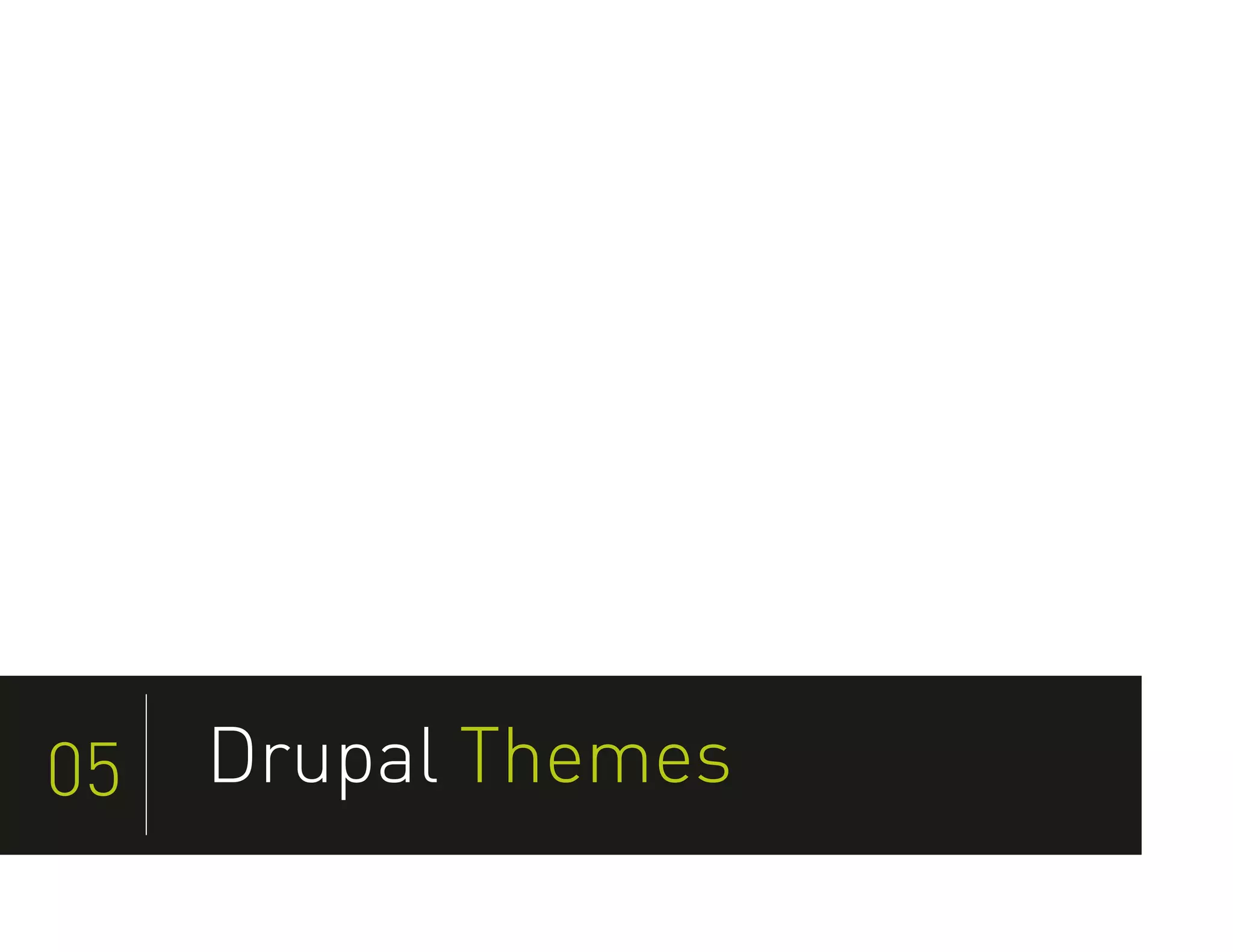 05   Drupal Themes
 