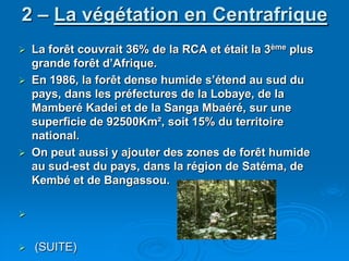 2 – La végétation en CentrafriqueLa forêt couvrait 36% de la RCA et était la 3ème plus grande forêt d’Afrique.En 1986, la forêt dense humide s’étend au sud du pays, dans les préfectures de la Lobaye, de la Mamberé Kadei et de la Sanga Mbaéré, sur une superficie de 92500Km², soit 15% du territoire national.On peut aussi y ajouter des zones de forêt humide au sud-est du pays, dans la région de Satéma, de Kembé et de Bangassou. (SUITE) 