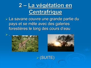 2 – La végétation en CentrafriqueLa savane couvre une grande partie du pays et se mêle avec des galeries forestières le long des cours d’eau.(SUITE)