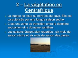 2 – La végétation en CentrafriqueLa steppe se situe au nord-est du pays. Elle est caractérisée par une longue saison sèche. C’est une zone de transition entre le domaine soudanien et le domaine sahélien.Les saisons étaient bien réparties : six mois de saison sèche et six mois de saison des pluies.