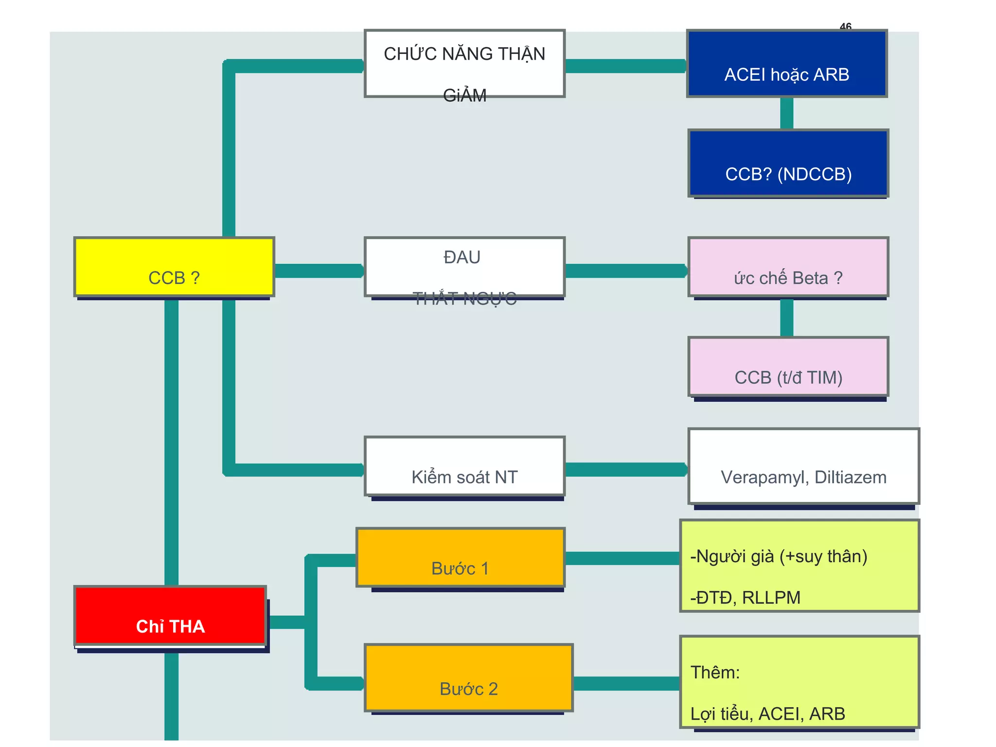 46
CHỨC NĂNG THẬN
GiẢM
ĐAU
THẮT NGỰC
ức chế Beta ?
CCB (t/đ TIM)
Kiểm soát NT Verapamyl, Diltiazem
Chỉ THA
-Người già (+suy thân)
-ĐTĐ, RLLPM
CCB ?
ACEI hoặc ARB
CCB? (NDCCB)
Bước 1
Bước 2
Thêm:
Lợi tiểu, ACEI, ARB
 