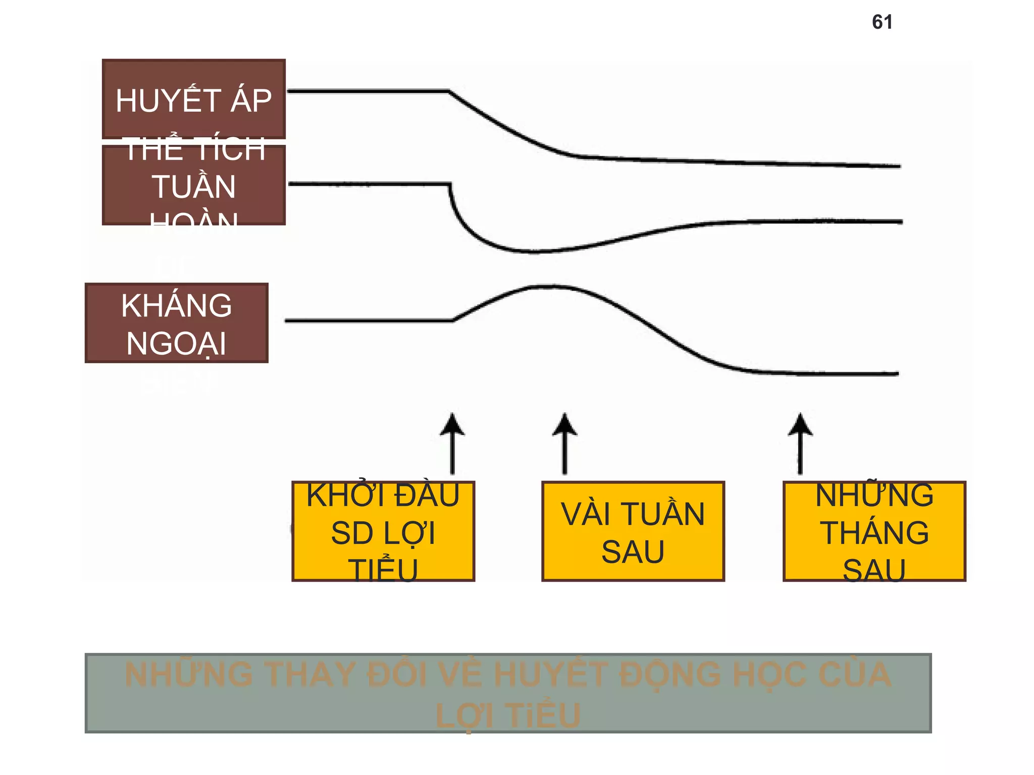 61
NHỮNG THAY ĐỔI VỀ HUYẾT ĐỘNG HỌC CÙA
LỢI TiỂU
HUYẾT ÁP
THỂ TÍCH
TUẦN
HOÀN
ĐỀ
KHÁNG
NGOẠI
BIÊN
KHỞI ĐẦU
SD LỢI
TIỂU
VÀI TUẦN
SAU
NHỮNG
THÁNG
SAU
 