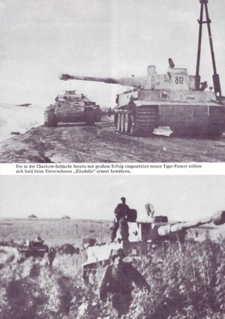 Die Waffen SS