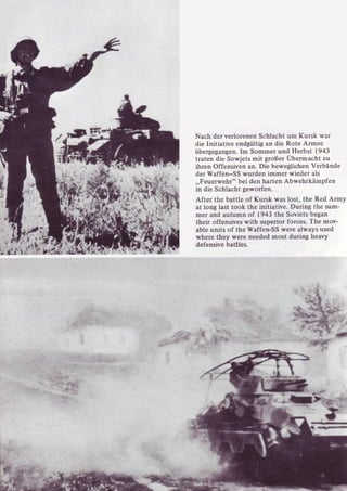 Die Waffen SS
