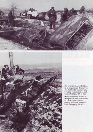 Die Waffen SS