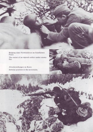 Die Waffen SS