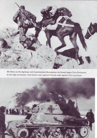 Die Waffen SS