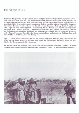 Die Waffen SS