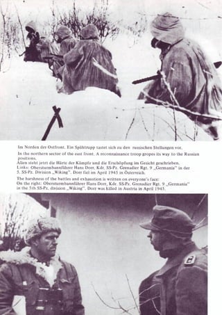 Die Waffen SS