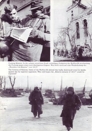 Die Waffen SS