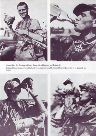 Die Waffen SS