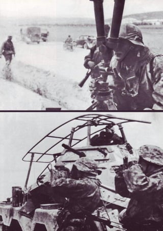 Die Waffen SS
