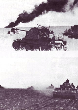 Die Waffen SS