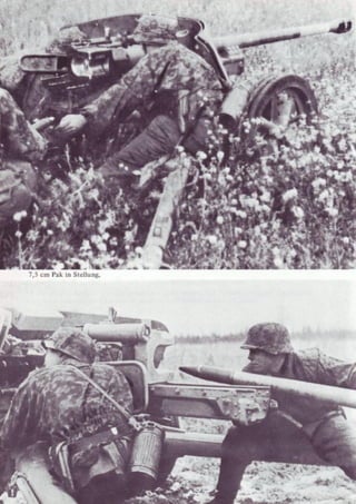 Die Waffen SS