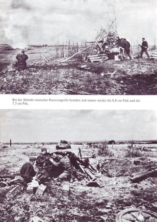 Die Waffen SS