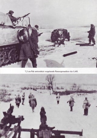 Die Waffen SS