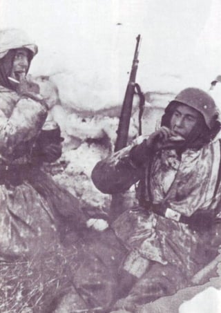 Die Waffen SS