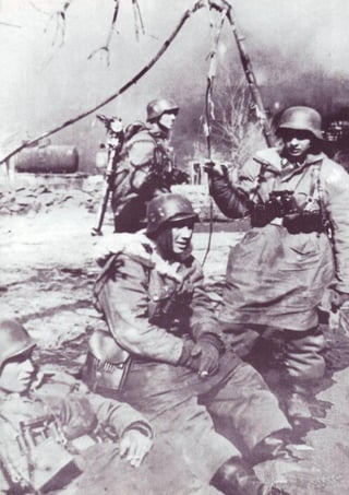 Die Waffen SS