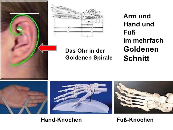 Die Weltschöpfung Im Goldenen Schnitt