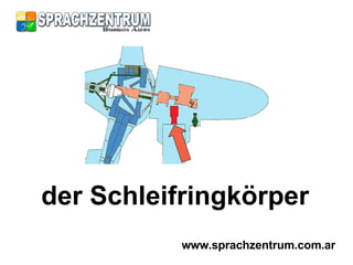 der Schleifringkörper www.sprachzentrum.com.ar 