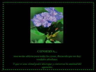 CONSERVA...
una mente abierta para todas las cosas. Recuerda que no hay
verdades absolutas.
Y que es una virtud poder discrepar y conservar la amistad del
oponente.
Sue

 