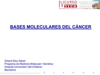 BASES MOLECULARES DEL CÁNCER
Orland Díez Gibert
Programa de Medicina Molecular i Genètica
Hospital Universitari Vall d’Hebron
Barcelona
 