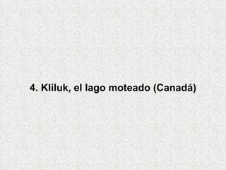 4. Kliluk, el lago moteado (Canadá)
 