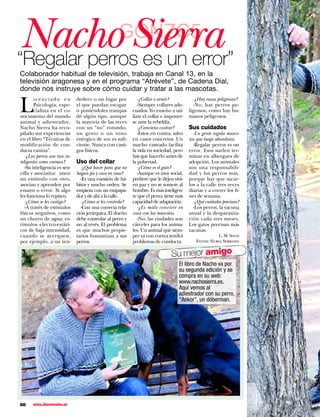 Nacho Sierra GONZC5
“Regalar perros es un error”
Colaborador habitual de televisión, trabaja en Canal 13, en la
televisión aragonesa y en el programa “Atrévete”, de Cadena Dial,
donde nos instruye sobre cómo cuidar y tratar a las mascotas.
                                                             -¿Collar o arnés?             -¿Hay razas peligrosas?

L
        icenciado en          dedero o un lugar por
        Psicología, espe-     el que puedan escapar          -Siempre collares ade-        -No, hay perros pe-
        cialista en el co-    o poniéndoles trampas       cuados. Yo enseño a uti-      ligrosos, como hay hu-
nocimiento del mundo          de algún tipo, aunque       lizar el collar e imponer-    manos peligrosos.
animal y adiestrador,         la mayoría de las veces     se ante la rebeldía.
Nacho Sierra ha reco-         con un “no” rotundo,           -¿Conviene castrar?        Sus cuidados
pilado sus experiencias       un gesto o un tono             -Estoy en contra, salvo      -La gente regala masco-
en el libro “Técnicas de      enérgico de voz es sufi-    en casos concretos. Un        tas que luego abandona.
modificación de con-          ciente. Nunca con casti-    macho castrado facilita         -Regalar perros es un
ducta canina”.                gos físicos.                la vida en sociedad, pero     error. Esos suelen ter-
   -¿Los perros son tan in-                               hay que hacerlo antes de      minar en albergues de
teligentes como creemos?      Uso del collar              la pubertad.                  adopción. Los animales
   -Su inteligencia es sen-     -¿Qué hacer para que no      -¿Cómo es el gato?         son una responsabili-
cilla y asociativa: unen      hagan pis y caca en casa?      -Aunque es muy social,     dad y los perros más,
un estímulo con otro,           -Es una cuestión de há-   prefiere que le dejen vivir   porque hay que sacar-
asocian y aprenden por        bitos y mucho orden. Se     en paz y no se somete al      los a la calle tres veces
ensayo o error. Si algo       empieza con un empapa-      hombre. Es más inteligen-     diarias y a correr los fi-
les funciona lo repiten.      dor y de ahí a la calle.    te que el perro; tiene más    nes de semana.
   -¿Cómo se les castiga?       -¿Cómo se les controla?   capacidad de adaptación.        -¿Qué cuidados precisan?
   -A través de estímulos       -Con una correcta rela-      -¿Es malo convivir en        -Los perros, la vacuna
físicos negativos, como       ción jerárquica. El dueño   casa con las mascotas.        anual y la desparasita-
un chorro de agua; es-        debe controlar al perro y      -No; las ciudades son      ción cada tres meses.
tímulos electro-estáti-       no al revés. El problema    cárceles para los anima-      Los gatos precisan más
cos de baja intensidad,       es que muchos propie-       les. Un animal que siem-      vacunas.
cuando se acerquen,           tarios humanizan a sus      pre va con correa tendrá                    L. M. Soto
por ejemplo, a un ten-        perros.                     problemas de conducta.           Fotos: Nuria Serrano


                                                                              Su mejor amigo
                                                                                  El libro de Nacho va por
                                                                                  su segunda edición y se
                                                                                  compra en su web:
                                                                                  www.nachosierra.es.
                                                                                  Aquí vemos al
                                                                                  adiestrador con su perro,
                                                                                  “Ankor”, un dóberman.




88    www.diezminutos.es
 