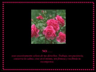 NO ……. seas excesivamente celoso de tus derechos. Trabaja, ten paciencia, conserva la calma, cree en tí mismo, ten firmeza y recibirás tu recompensa. 