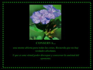 CONSERVA... una mente abierta para todas las cosas. Recuerda que no hay verdades absolutas. Y que es una virtud poder discrepar y conservar la amistad del oponente. 