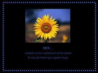 TEN ….. cuidado con los sentimientos de los demás. Es más fácil herir que reparar luego. 