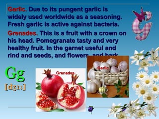 Garlic. Due to its pungent garlic is
widely used worldwide as a seasoning.
Fresh garlic is active against bacteria.
Grenades. This is a fruit with a crown on
his head. Pomegranate tasty and very
healthy fruit. In the garnet useful and
rind and seeds, and flowers, and bark.


Gg
                              Garlic.
                Grenades.


[dʒɪ :]
 