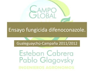 Ensayo fungicida difenoconazole.

   Gualeguaychú-Campaña 2011/2012
 
